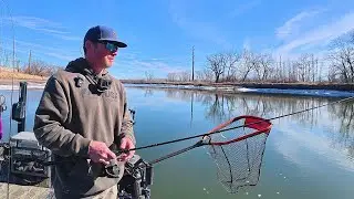 River Exploring For The MOST DELICIOUS FISH!!! (Catch and Cook)