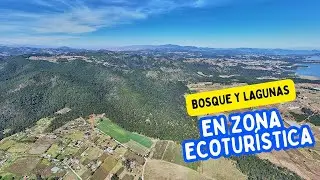 Explora este Terreno con Vista a Laguna y Bosque Inmenso