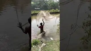 Big cast net Fishing #foryouシ #reels #Amazing #fish #fisherman #CastNetFishing #bigfish #virals