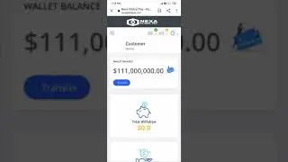 Nexa global pay