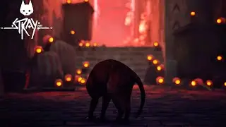 Stray: Dead City
