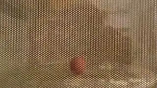 What to do with a possessed microwave