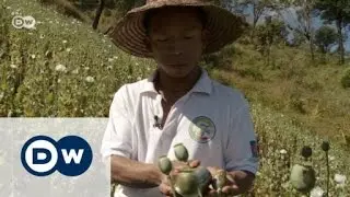 Opium Farmers in Myanmar | Journal Reporters