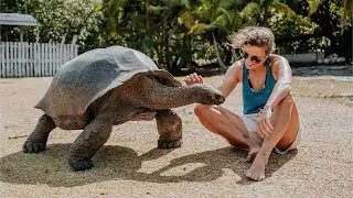 SEYCHELLES 2025 - TRAVEL VLOG & TIPPS - PRASLIN,  LA DIGUE & MAHÉ