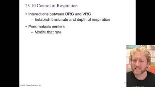 Unit 11 Respiratory System Control and Age Changes