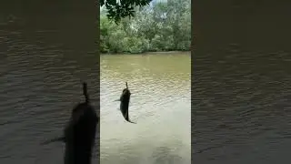#fishingandcooking
