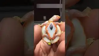 Rare Turtle with EXPOSED HEART inspires Millions 😟