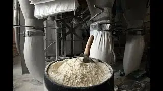 Flour mills of Russia. Production of Wheat flour. Wholesale sales for export. IEC.