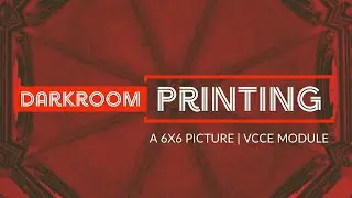 Darkroom Printing A Medium Format Image Shot on Kodak Tri-X | Using A VCCE Module |