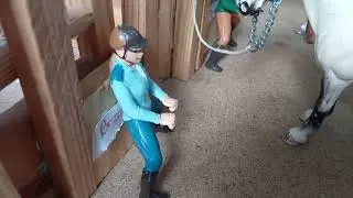 Książka Lato z Sigge przeistoczona w schleich