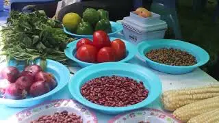 Fake seeds & fertilizer