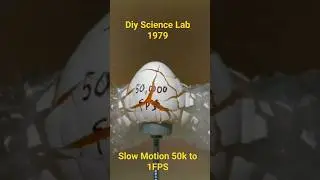How Bullet Destroy EGG :Slow Motion   #shorts #shortsfeed  #trending #viral