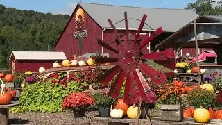 Fall farm fun On The Pennsylvania Road