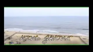 #(FREEDOM AFRICA )VIDEO. ..BY KING JAYONE