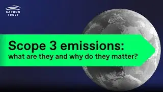 Scope 3 emissions: What are they and why do they matter?