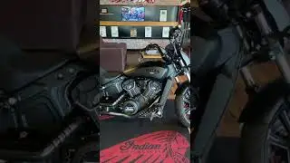 Indian scout rogue