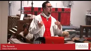 Real Freedom Comes From Being Set Free by The Holy Spirit - Sermon by Father David Svihel