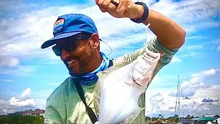This LURE is FLOUNDER CANDY