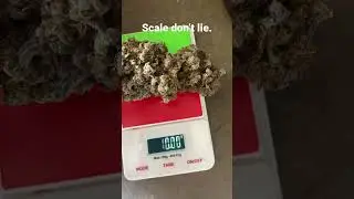 10g nug