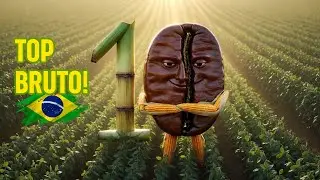 A LISTA que FAZ GRINGO CHORAR: Os 10 milagres da Embrapa!