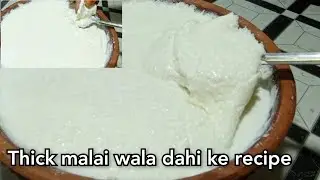 halwai style thick malai wala dahi recipe |  curd recipe | easy trick and tips for making curd 😋