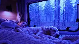 Heavy Rain and Thunder Sounds for Deep Calm and Sleep