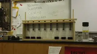 Clock Reaction