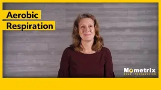 Aerobic Respiration