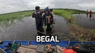 MANCING TOMAN EXTREME, Bukan Cuma Ikan yang Datang.!!!