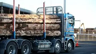 Aussie timber industry call for government relief amid Chinese trade sanctions