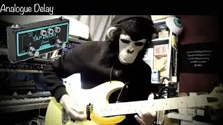 Actually using a guitar pedal with a guitar - Donner Tap Delay