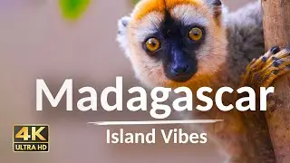 Madagascar Relaxing Music &ndash; Exotic Island Views & Wildlife Sounds 4K