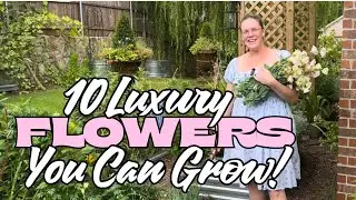 🌷 10 LUXURY Flowers You Can GROW at Home 💎 Stunning & Expensive Blooms for Less!