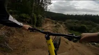 Rotorua's BIGGEST Jumps!? POV Taniwha (river jumps) - Whakarewarewa forest - Redwoods - NZ MTB