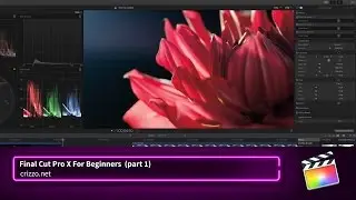 Основы FCP X для начинающих &mdash; библиотека, события и проекты (часть 1)