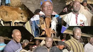 PARTAGE BŒUF LAMB NGHOSSY 23 février 2025 NDAMBÉ,TASS YAKAAR,SA THIÉS, AMET ATHIE DOUMOU GANDIAYE