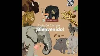 ¡Bienvenidos!