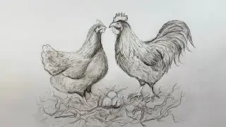 How To Draw Chicken #artscraft #sketch #art #drawingtechniques #pencildrawing #chicken #tutorial 