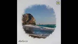 Audiense - Gili Trawangan - #organichouse