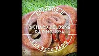 Boa Rack Radio Episode 8: Rich Delbono of DaVinci Boa