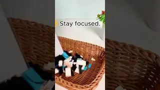 Don&rsquo;t blink. Watch till the end. 🤩#lego #lechilla #custom #bricks
