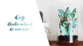 D.I.Y FACILE - Cloche de curiosité avec papillons