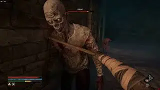 Fall of Avalon Gameplay: The Prologue, all Bosses, Items and Weapons, Veteran (hard) difficulty.