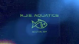 KJE Aquatics Has Become A Friend Level Sponsor Of Keystone Clash 2023