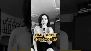 Gold cobra - Limp Bizkit (Masha Rukiss cover) #girlpower #limpbizkit #freddurst #numetal #rockgirl