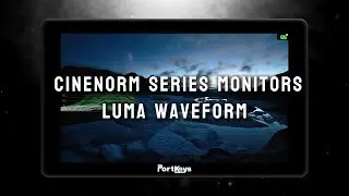 CINENORM OS: Waveform&mdash;Luma Waveform