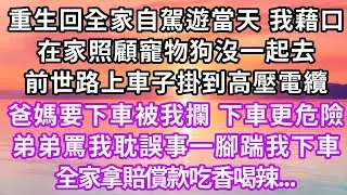 重生回全家自駕遊當天，我找藉口在家照顧寵物狗沒一起去，前世路上車子掛到高壓電纜，爸媽要下車被我攔，下車更危險，弟弟罵我耽誤事一腳踹下車，全家拿賠償款吃香喝辣...#重生 #大女主 #復仇 #情感