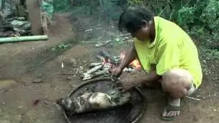 Muang Phaem. Preparing and cooking a pig on open fire. Thailand