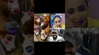የአማራ ትግል ከየት ወዴት ሞጣ ይችላል 😂😜