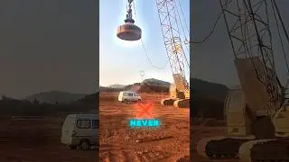 Animals that never sleep 😴 #viralvideo #trending